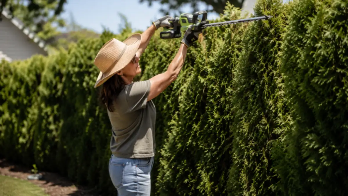 Gardener holding the WORX hedge trimmer overhead while shaping a tall arborvitae privacy screen